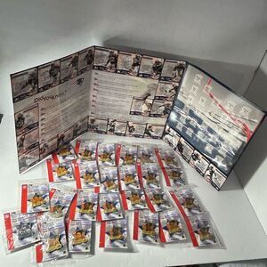 NFL 2004 Super Bowl XXXVIII NE Patriots collectible pin set- 25 player pins+